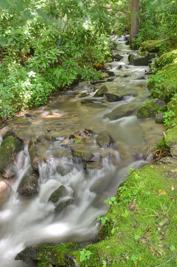 Panther Creek Cabins Cherokee Luaran gambar